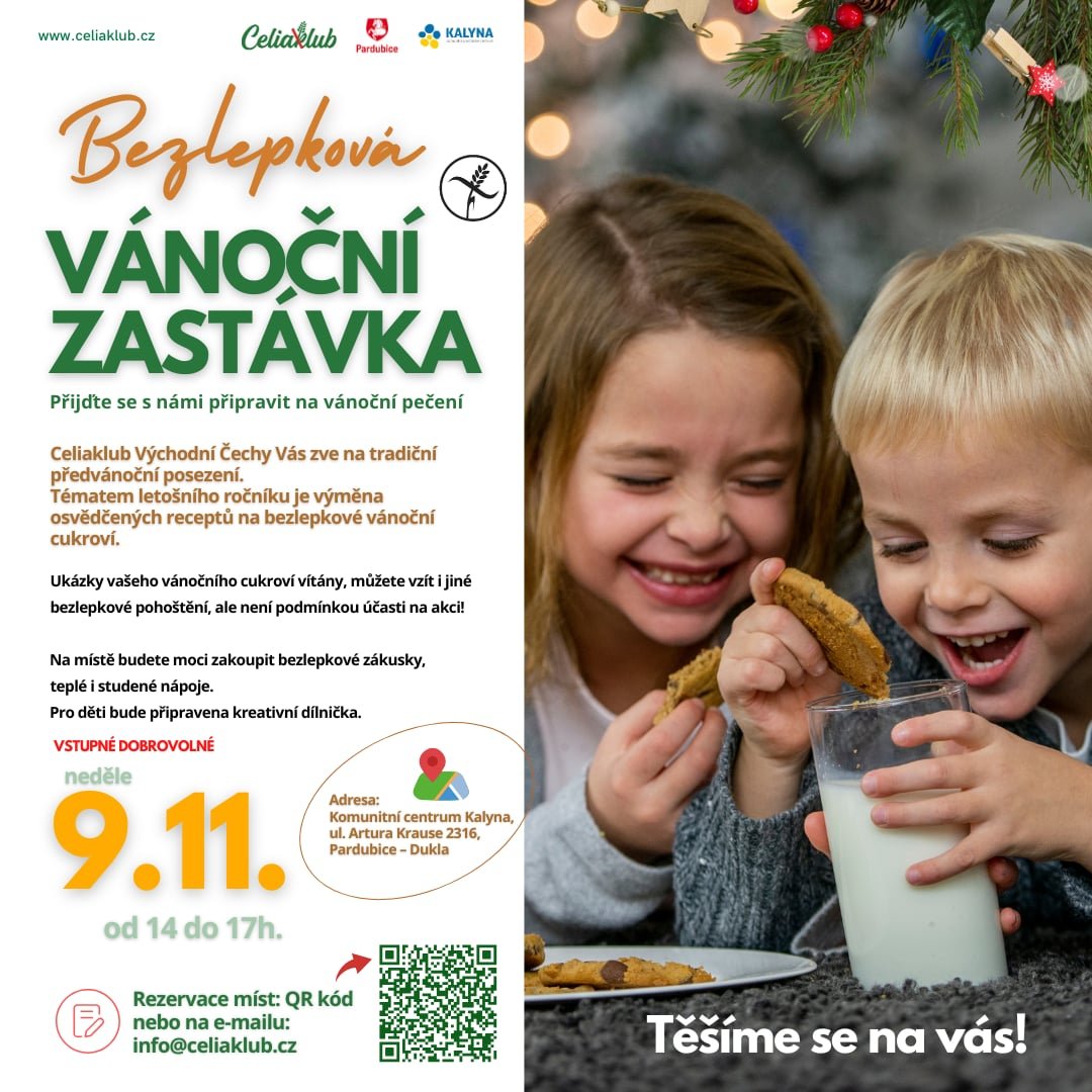 Bezlepková vánoční zastávka